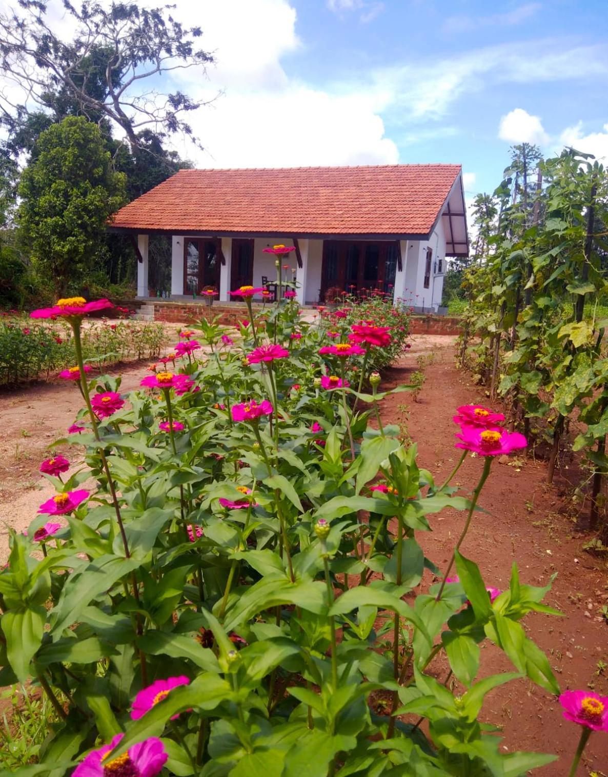 Moni Farm House Wilpattu Nochchiyagama Exterior foto